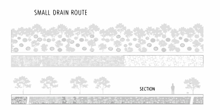 Diagram of a small drain route through a forested area showing sections