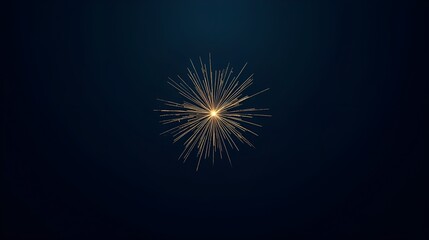 Fototapeta premium Fireworks in the night at sky 