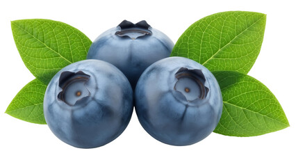 Three blueberries with leaves PNG isolated on transparent background, fresh fruit close-up for...