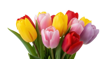 Naklejka premium Colorful tulip bouquet isolated PNG on transparent background, vibrant spring flowers for design and decoration, floral arrangement