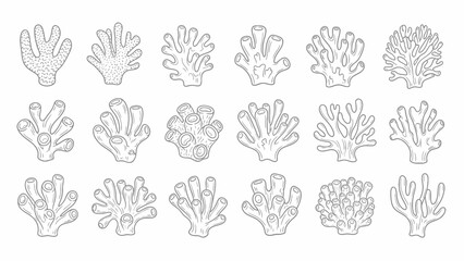 Fototapeta premium Coral Reefs Set Outline vector.