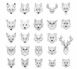 Obraz premium Wild animal faces line art set vector.