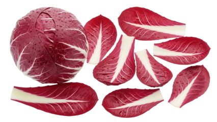 Fresh radicchio head and leaves isolated PNG on transparent background, vibrant red chicory vegetable for healthy eating and salad ingredient