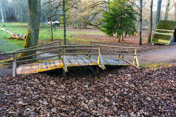 Small wooden footbridge over forest path with fallen leaves