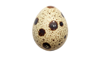 Speckled quail egg isolated PNG on transparent background, small brown spots on beige shell, easter symbol and food ingredient