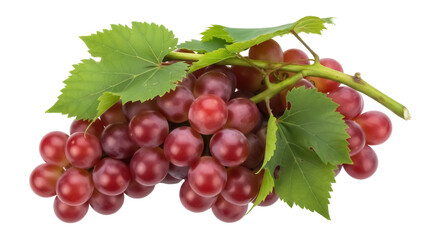 Fresh red grapes with leaves isolated PNG, delicious fruit for healthy eating and snack, natural source of vitamins and antioxidants