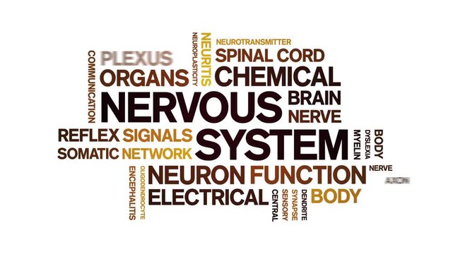 Nervous System animated word cloud-text design animation tag kinetic typography seamless loop.