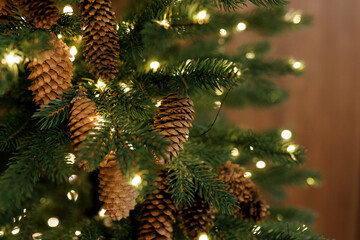 Christmas Tree Branches with Warm Fairy Lights Close Up