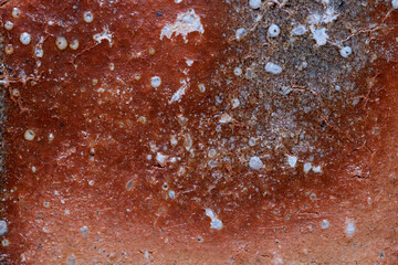 緋色が出た信楽焼の表面