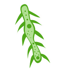 Plankton Cartoon Vector Illustration