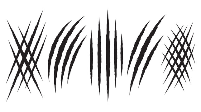 A collection of various monster claw scratch marks and animal scratch patterns vector illustration