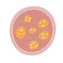 Human Parasites Coccidia Illustration. Vector Illustration of a Human Intestinal Parasites