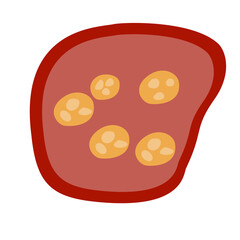 Human Parasites Coccidia Illustration. Vector Illustration of a Human Intestinal Parasites