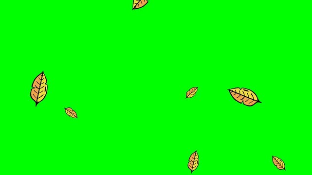 green screen video animation of plants and falling leaves