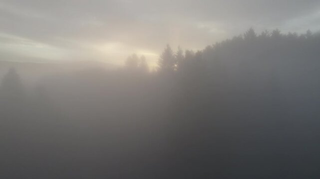 Drone flying through clouds over forest at sunrise, cinematic aerial view of misty woodland, golden morning light, peaceful nature landscape, Switzerland Alps atmosphere.