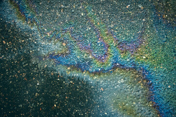Colorful fuel spill on the pavement, offering an eye-catching abstract backdrop.