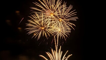 Fototapeta premium Happy new year 2026 fireworks display celebrating the start of a new year with vibrant explosions of color and light