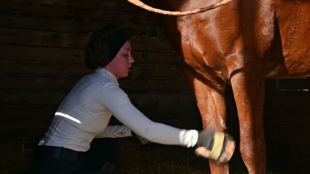 A young Caucasian woman grooms her horse before training, surrounded by a farm stable. Farm horse care. Caring for domestic animals.