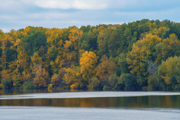 beautiful autumn landscape with river and forest, yellow leaves on trees, cloudy weather