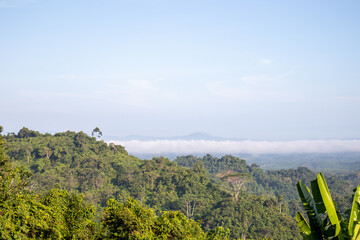 Panoramic View of Lush Green Hills and Tropical Forest Under a Clear Sky