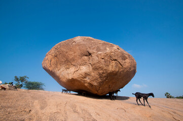 Krishnas butterball, Balancing giant natural rock stone, Mahabalipuram, Tamil Nadu, India