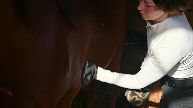 A young Caucasian woman grooms her horse before training, surrounded by a farm stable. Farm horse care. Caring for domestic animals.