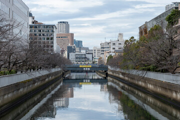 Naklejka premium 仙台堀川と清澄橋