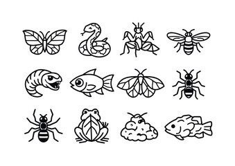 Obraz premium Nature's Mimicry Icons. Mimicry in Nature. Line icon set of Mimicry in Nature: butterfly leaf wings, harmless snake mimic, orchid mantis flower, hoverfly wasp