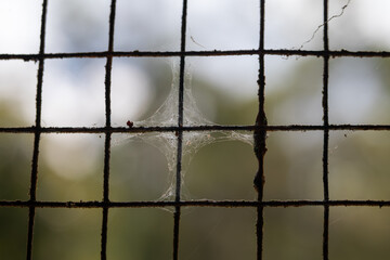 Close Up of Rusty Iron Wire Mesh with Small Spider Web in a Grid