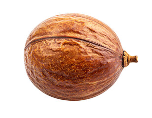 Whole Pecan Nut in Shell Isolated on White Background.