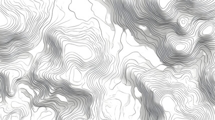 A black and white abstract topographic map with contour lines and varying elevations