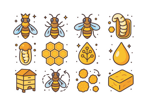 Bee Biology Icons. Bee biology. Colorful isometric vector icons set of bee biology: queen bee icon, worker bee icon, drone bee icon, larva cell, capped brood