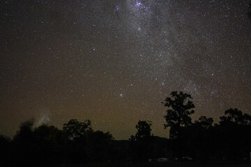Starry Night Sky with Milky Way Over Silhouetted Trees in Remote Natural Landscape
