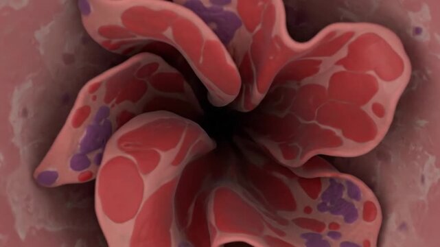 Microscopic view of kidney glomerulus structure, medical illustration