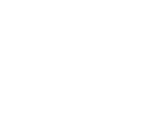 Falling Shining Snowflakes white.