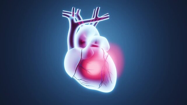 AI X-Ray Heart Scan Highlighting Cardiovascular Disease Detection. 3D animation
