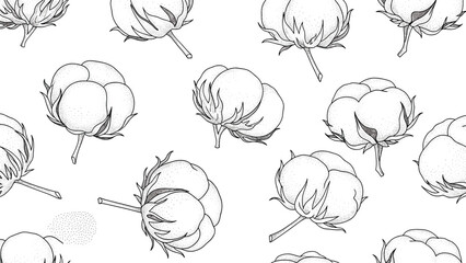 Obraz premium Detailed seamless pattern features hand-drawn black and white illustrations of cotton bolls in various stages of bloom on a white background.