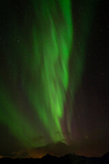 Green Northern Lights Over Mountain Landscape Under Starry Night Sky
