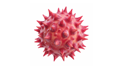 A 3D rendering of a virus cell with a spiky surface, isolated on a white background. The virus is depicted in shades of red and pink