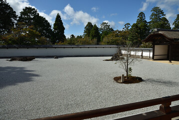 曼殊院門跡　宸殿前庭　盲亀浮木の庭(京都市左京区)