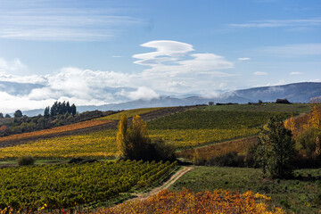 autumn landscape in the mountains, spain