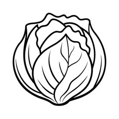 Obraz premium cabbage