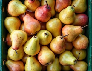 Fresh pears yellow and red colors piled in green market crate. Ripe seasonal fruit display for sale at grocery store. Healthy natural food option for eating.
