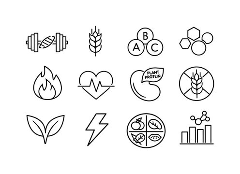 Bean Nutrition Icons. Bean Nutrition. Line icon set of Bean Nutrition: protein symbol, fiber symbol, vitamins icon, minerals icon, calories icon, heart health
