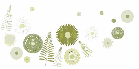 A delicate arrangement of green floral and fern botanical illustrations © Bipul