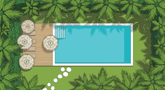 Top view of swimming pool with wooden deck and umbrellas. Aerial vector illustration of tropical garden with palm trees and sun loungers.