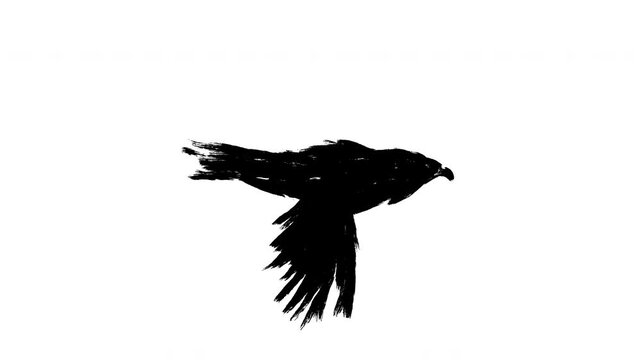 Animation flying silhouette bird in sketch grunge style. Loopable 2d motion black raven or eagle. Abstract art character isolated on white background.