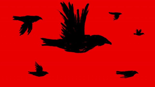Flying silhouette group bird in sketch grunge style. Loopable 2d animation black raven or eagle. Abstract art character isolated on red background.