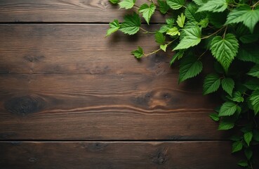 Dark wooden planks with green leaves in upper right corner. Empty space for text copy. Natural organic background for rustic or modern design.