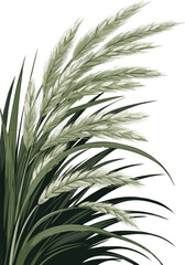 Fototapeta premium Create a Close up of ornamental grass swaying in the wind vector art with white background..